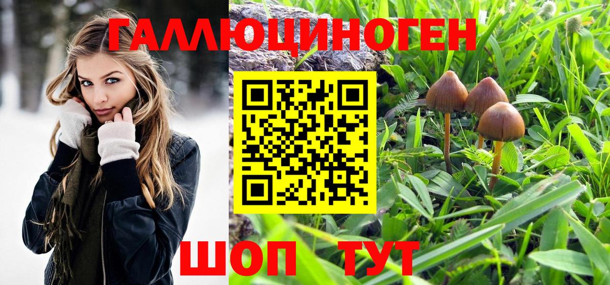Псилоцибиновые грибы MAGIC MUSHROOMS  Вход с VPN  Чистополь  Псилоцибиновые грибы мицелий 