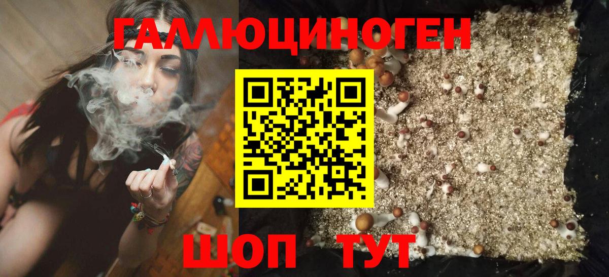 Псилоцибиновые грибы Psilocybine cubensis Чистополь